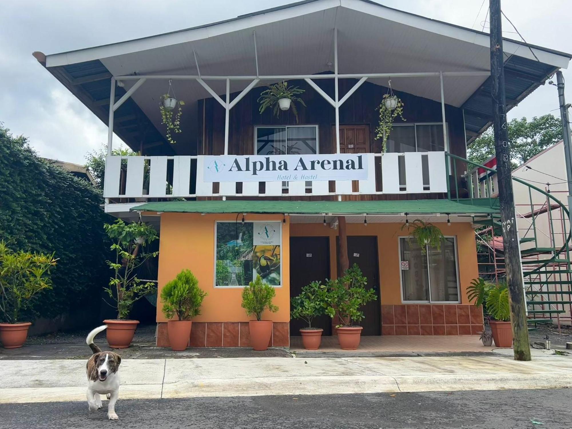 Alpha Arenal Hostel La Fortuna Eksteriør billede